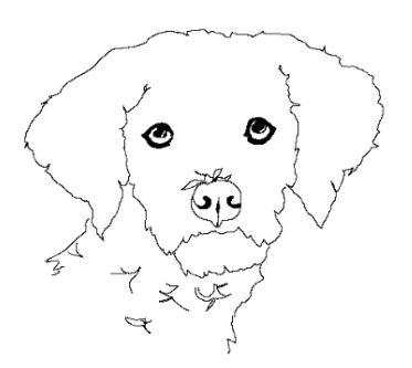 Tartufi di Stella Logo